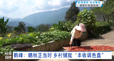 鹤峰：晒秋正当时 乡村铺就“丰收调色盘”