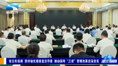 张文彤强调 坚持做优增量盘活存量 推动国有“三资”管理改革走深走实