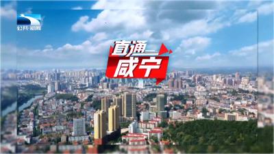 直通咸宁 | 改革进行时