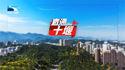 直通十堰 | 全力锻造堪当重任的高素质干部队伍