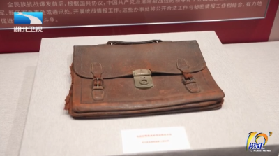 抗战胜利80周年纪念活动 | 湖北抗战文物主题联展亮相武汉