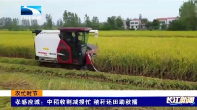 孝感应城：中稻收割减损忙 秸秆还田助秋播