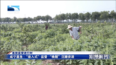 基层监督进行时｜咸宁嘉鱼：“嵌入式”监督 “唤醒”沉睡资源