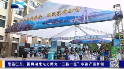 恩施巴东：国网湖北电力助力“三县一区”农副产品扩销