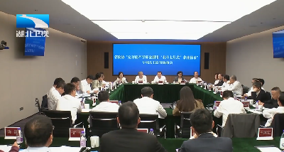 省政协召开专项民主监督会 聚焦完善“北斗七星式”转化体系监督建言