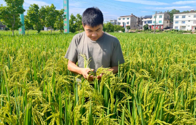 宜昌宜都： 把“迷彩初心”种进田野