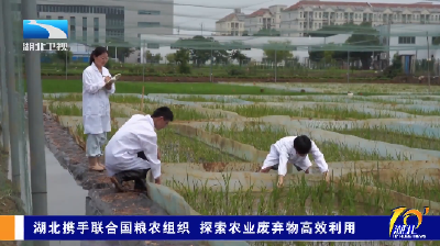 湖北携手联合国粮农组织 探索农业废弃物高效利用
