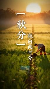 秋分 | 秋向此时分