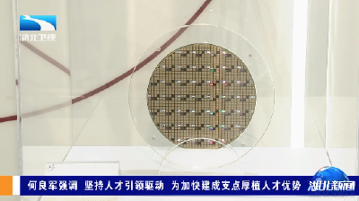何良军强调 坚持人才引领驱动 为加快建成支点厚植人才优势