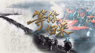 《等你归来》