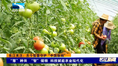 长江关注：古今智慧守护“中国饭碗”