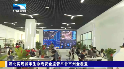 湖北实现城市生命线安全监管平台市州全覆盖