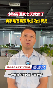 小狗买回家七天就病了，卖家是否需要承担治疗费用？