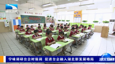 宁咏调研台企时强调  促进台企融入湖北新发展格局