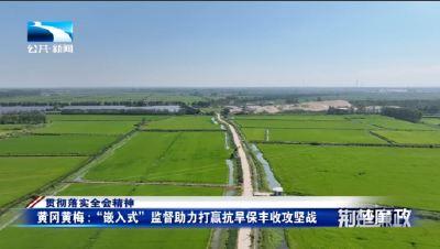 贯彻落实全会精神｜黄冈黄梅：“嵌入式”监督助力打赢抗旱保丰收攻坚战