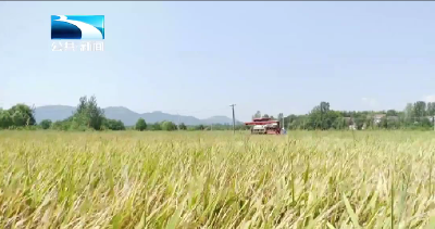 我为群众办实事 | 田间地头办实事 驻村为民护丰收