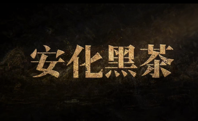 湖南 | 《安化黑茶》第一集