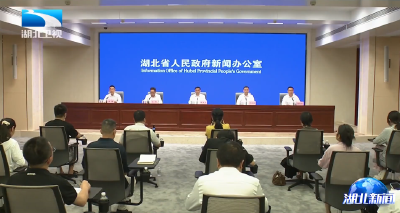 决胜收官“十四五” 谋篇布局“十五五”系列新闻发布会 | 三年三进位 湖北营商环境跨入第一方阵