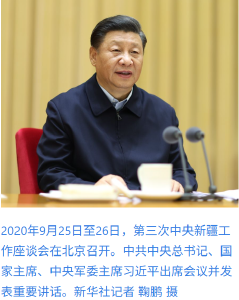 学习进行时｜习近平总书记关心新疆建设发展的故事