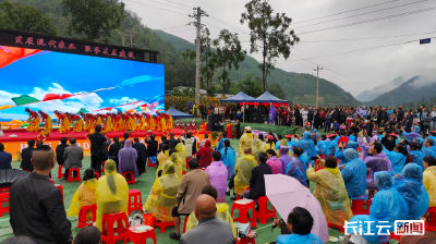 稻浪翻金庆丰年！十堰市郧西县2025年农民丰收节举行