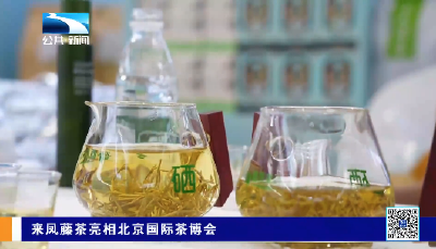 来凤藤茶亮相北京国际茶博会