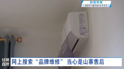 网上搜索“品牌维修”当心是山寨售后