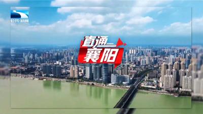 直通襄阳 | 襄州：外贸添动能 民生增温度 秋粮稳丰收
