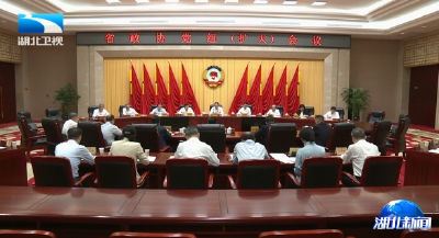 省政协召开党组会议 孙伟主持并讲话