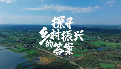 《探寻乡村振兴的答案》
