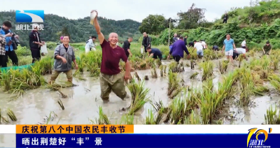 庆祝第八个中国农民丰收节 | 晒出荆楚好“丰”景