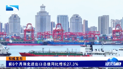 权威发布丨前8个月湖北进出口总值同比增长27.3%