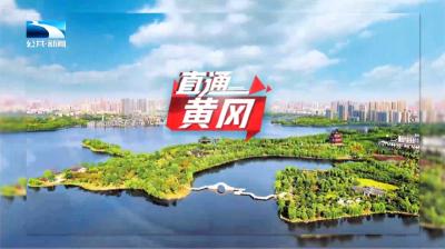 直通黄冈 | 锲而不舍落实中央八项规定精神 办实事解难题
