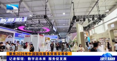聚焦2025年中国国际服务贸易交易会 | 记者探馆：数字启未来 服务促发展
