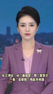 长江评论：从“曲辕犁”到“智慧仓” 一条“金扁担”挑起丰收路