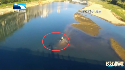 黄冈罗田：3分钟！警民合力救下落水女子