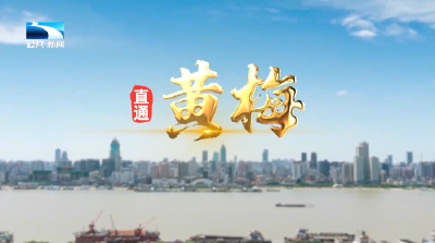 直通黄梅 | “黄金八条”助力创建全国义务教育均衡发展县