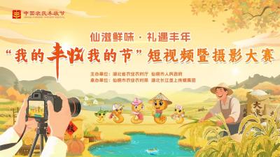 我的丰收我的节