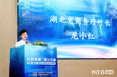 志合者不以山海为远 湖北携手斯里兰卡共绘“一带一路”合作新画卷