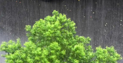 武汉今日最大累计雨量91.5毫米 全市主次干道无积水