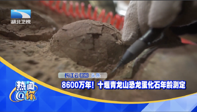 8600万年！十堰青龙山恐龙蛋化石年龄测定