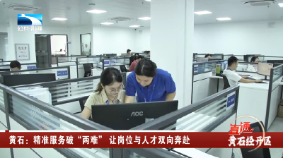 黄石：精准服务破“两难” 让岗位与人才双向奔赴