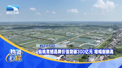 仙桃黄鳝品牌价值突破300亿元 增幅创新高