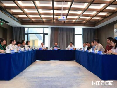 黄石：产学研精准对接 破解企业技术难题