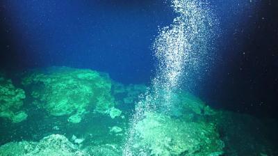 我科学家揭示南海深海冷泉系统演化规律
