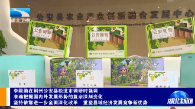 李殿勋在荆州公安县松滋市调研时强调 准确把握国内外发展形势的复杂深刻变化 坚持依靠进一步全面深化改革 重塑县域经济发展竞争新优势