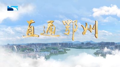 直通鄂州 | 鄂州峒山村：创新“党员联户”机制 走出发展新路
