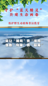 莫让“捕网”变“法网” 当心“鸟笼”变“囚笼”