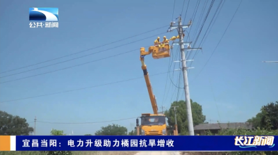 宜昌当阳：电力升级助力橘园抗旱增收