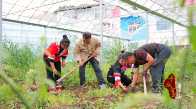 千城百县看中国｜湖北建始：新薯迎丰收 粑香满农家