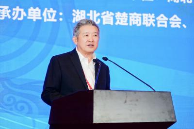 陈东升：楚商12年投资湖北超2.1万亿！